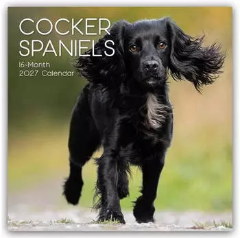 BrownTrout Cocker Spaniels 2027 &ndash; 16-Monatskalender, mehrsprachig