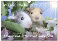 Meerschweinchen 2027 - bezaubernd, hinrei&szlig;end, entz&uuml;ckend (Wandkalender 2027...