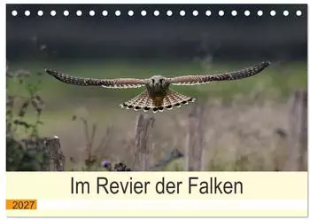 Calvendo Im Revier der Falken &ndash; Tischkalender 2027, DIN A5 quer, Monatskalender