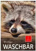 Drolliger Waschb&auml;r (Tischkalender 2027 DIN A5 hoch), CALVENDO Monatskalender