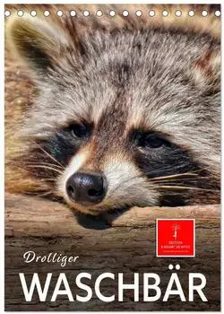 Calvendo Tischkalender 2027 "Drolliger Waschb&auml;r" DIN A5 hoch