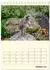 Calvendo Tischkalender 2027 