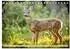 Calvendo Jäger im Wald Tischkalender 2027 DIN A5 quer