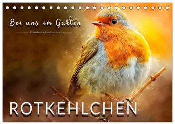 Calvendo Tischkalender 2027 „Bei uns im Garten – Rotkehlchen" DIN A5 quer
