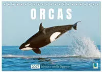 Orcas: Schwarz-wei&szlig;e Giganten (Tischkalender 2027 DIN A5 quer), CALVENDO