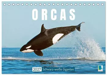 Calvendo Orcas: Schwarz-weiße Giganten Tischkalender 2027 DIN A5 quer