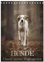 Hunde - Unsere treuen Wegbegleiter. (Tischkalender 2027 DIN A5 hoch), CALVENDO