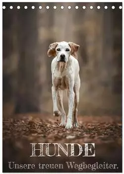 Calvendo Hunde - Unsere treuen Wegbegleiter Tischkalender 2027, DIN A5 hoch