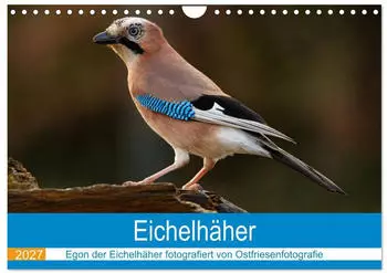 Calvendo Egon der Eichelh&auml;her &ndash; Wandkalender 2027, DIN A4 quer