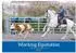 Calvendo Working Equitation Tischkalender 2027, DIN A5 quer