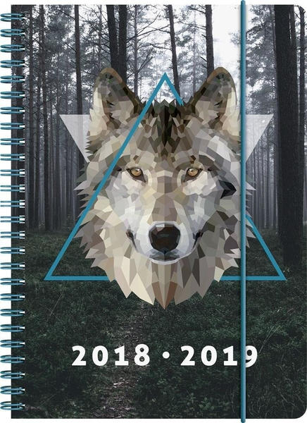 Brunnen Schülerkalender Wolf 2018/2019