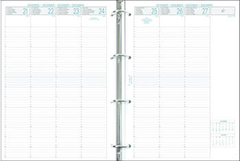 Quo Vadis Timer Einlage senkrecht 21x29,7cm 2023 (29272E)