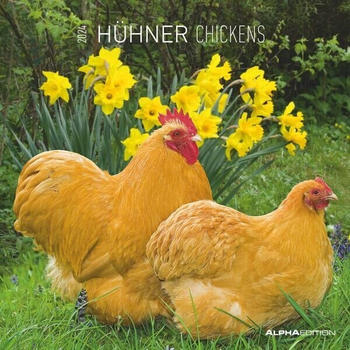Neumann Verlage Hühner 2024 Broschürenkalender 30x30 cm