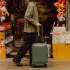Peak Design Pro Carry-On Sage