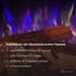 Glow Fire Curie E-Motion 3D mit Keramikholz und Steinen grau