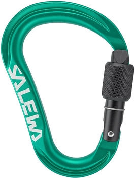 Salewa Ortles HMS M Karabiner (00-0000072002-5210) grün