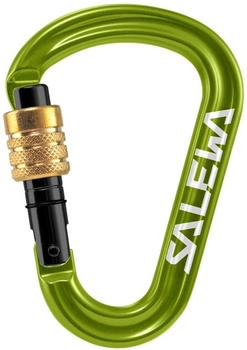 Salewa HMS Pro Karabiner (00-0000001521-5810) grün