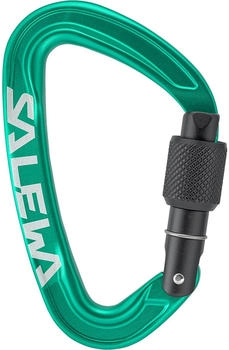 Salewa Ortles Screw Karabiner (00-0000072005-5210) grün
