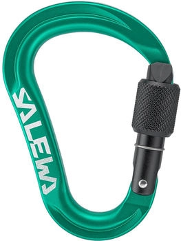 Salewa Ortles HMS S Karabiner (00-0000072001-5210) grün