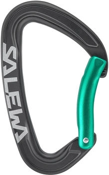 Salewa Ortles Bent Karabiner (00-0000072007-9150) grau
