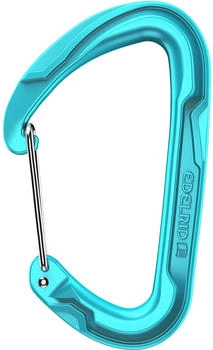 Edelrid Pure Wire Karabiner (73777-329-000) grün