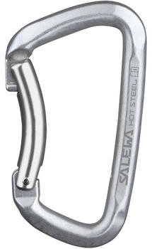 Salewa Hot Steel Bent Karabiner (00-0000001732-0995) grau