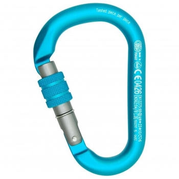 Kong HMS Napik Screw - HMS-Karabiner türkis (Cyan / Grey)