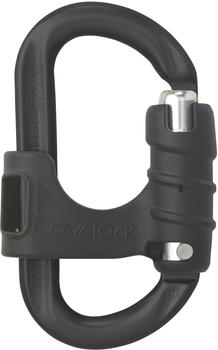 AustriAlpin Ovalock Snapgate Carabiner for safer belaying black anodized