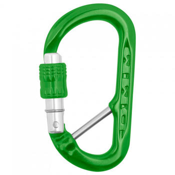 DMM XSRE Lock Captive Bar - Materialkarabiner grün Green