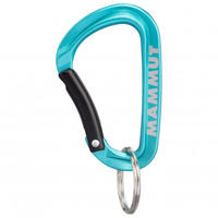 mammut 2810-00300-5018, Mammut Mini Carabiner Classic Keylock Gr&ouml;&szlig;e S blau -...