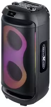 Reflexion PSX40BT Bluetooth Party-Lautsprecher 500W mit LED und Radio (PSX40BT)