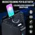Reflexion PS100BT Mobiler Party-Lautsprecher Bluetooth, UKW, USB, 800W (PS100BT)