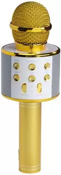 Denver KMS-20G Karaoke-Mikrofon mit Bluetooth-Lautsprecher, 5W, gold (KMS-20G)