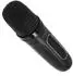 Adler AD 1199B Karaoke-Lautsprecher mit Mikrofon, Bluetooth, schwarz (AD 1199B)