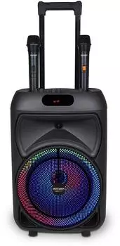 Bontempi Trolley PRO kabelloser Karaoke-Lautsprecher mit 2 Mikrofonen (BO491090)
