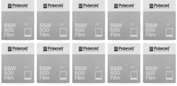Polaroid B&W 600 White Frame 10x