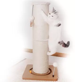 CanadianCat Kratzstamm Carla