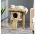 Pawhut Kratzbaum Katzenbaum mit Jute-Kratzmatte Sitzstange MDF Plüsch Jute Kaffee 40B x 40T x 57H cm