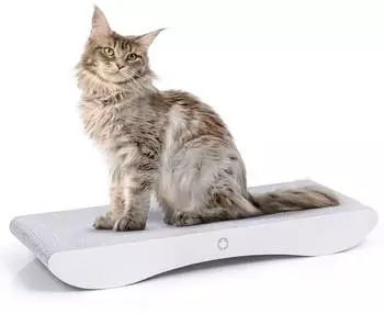 CanadianCat Kratzbrett Comet XL weiß