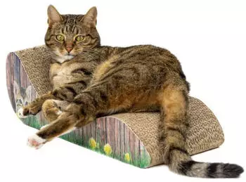 Nobby Lounge aus Karton mit