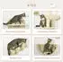 Pawhut Katzen Kletterwand 4 tlg. mit Kaztentreppe Hängematte Sprungplatt