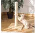 Pawhut 60 cm hoch Kratzstamm für Katzen bis 5 kg mit Sisalseil Beige+Eiche