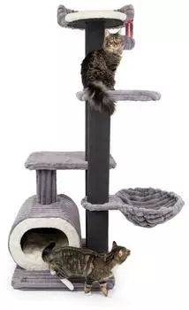 CanadianCat Canadian Cat Company Barrie