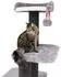 CanadianCat Canadian Cat Company Barrie