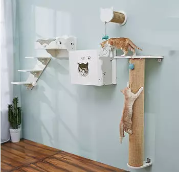 Cats Design Katzen Kletterwand Set xxl große Katzen stabil 5 Teilig Wandkratzbaum T2