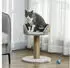 Pawhut 49 cm Kleiner Katzenturm mit Spielball Sisalstämme Plattform Kletterbaum für kleine Katzen Grau