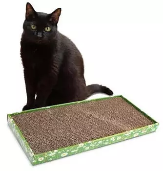 Croci C6020464 Pappe Katzenminze 48 x 25 x 5 cm