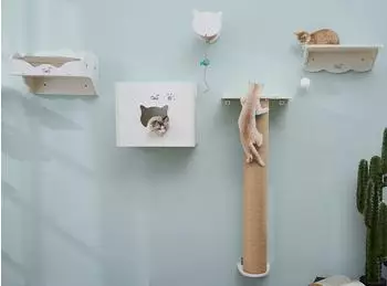 Cats Design Katzen-Wandregal Katzen XXL Kletterwand 5 Teilig Set T3 hochwertig solider holz Designmöbel-Extreme starke Konstruktion