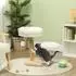 Pawhut 61,5 cm hoch mit Spielball Betten Katzenturm mit Katzenkratzbrett für Katzen unter 5 kg Birnbaumholz Weiß