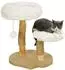 Pawhut 61,5 cm hoch mit Spielball Betten Katzenturm mit Katzenkratzbrett für Katzen unter 5 kg Birnbaumholz Weiß